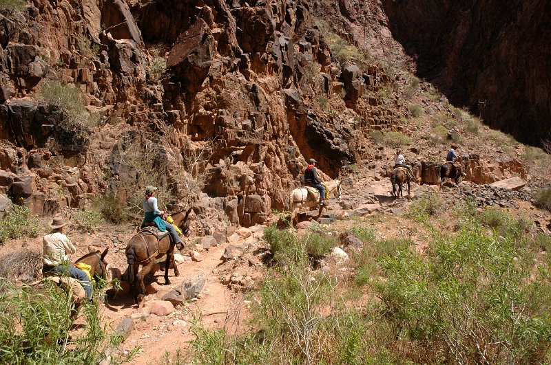 Grand Canyon April 2011_0399.jpg